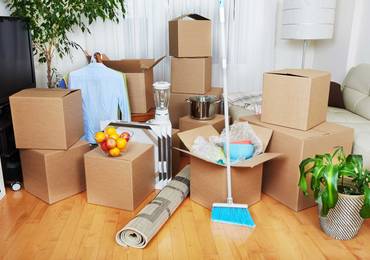 Move-Out & Move-In Cleaning 